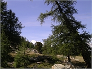 2010-09-xx Ausflug Walter und03